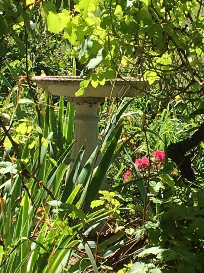 Rydal Springmead B&B מראה חיצוני תמונה