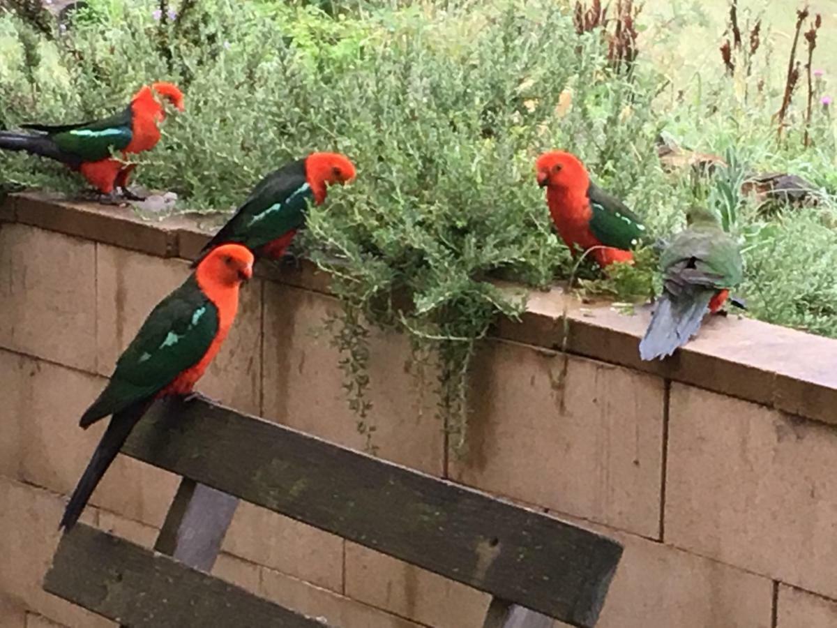 Rydal Springmead B&B מראה חיצוני תמונה